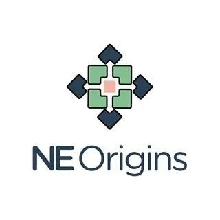 NE Origins
