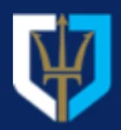 Neptune P2P Group logo