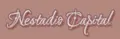 Nestadio Capital logo