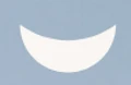 NestMi logo