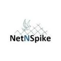 Net N Spike logo