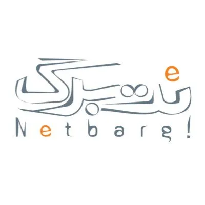 Netberg logo
