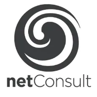 netConsult logo