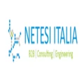 Netesi logo