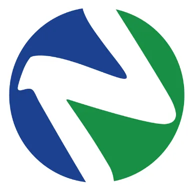 NETIS Group logo