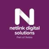 Netlink Digital Solutions logo