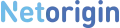 Netorigin logo
