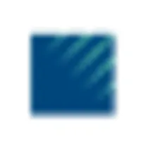 Netrake Corporation logo