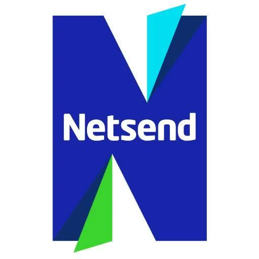 Netsend logo