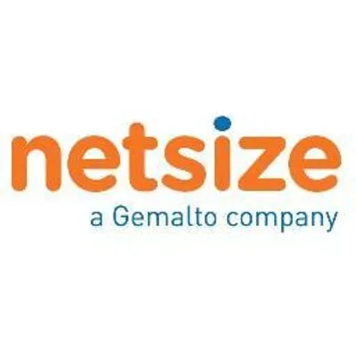 Netsize logo