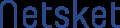 Netsket logo
