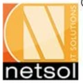 Netsol  IT Solution