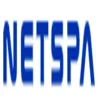 Netspa logo