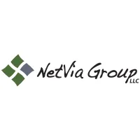 NetVia Group logo