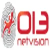 013 Netvision logo