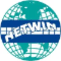 Netwin Systems logo