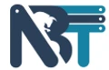 Network Bulls Technologies