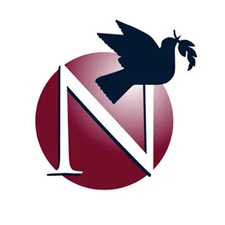 Network Support Company logo