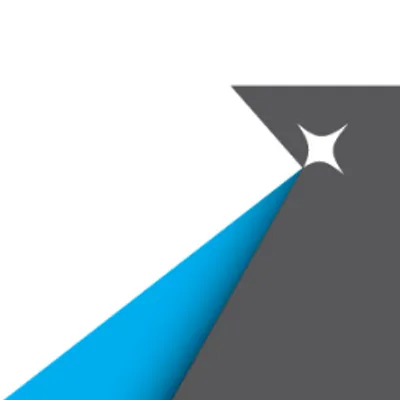 Networked Insights logo