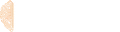 NeuroDiscovery AI logo
