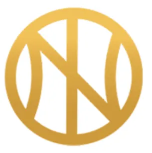 New Age Financial Advisory logo