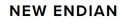 New Endian logo