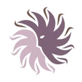 New Mexico Cancer Center logo
