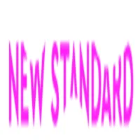 NEW STANDARD logo