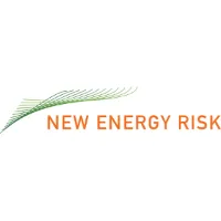 New Energy Risk logo