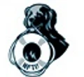 NewFound Technologies logo