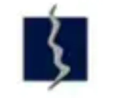 NewMargin Ventures logo