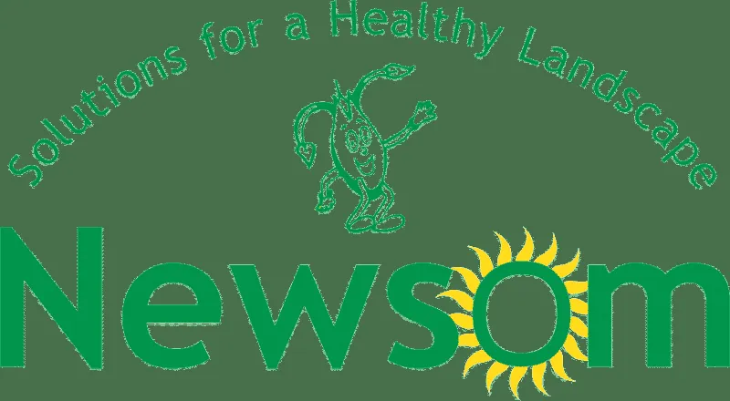 Newsomseed logo