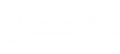 Nextdaygps logo
