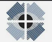 Nexus Vision Group logo