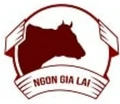 NgonGiaLai logo