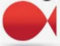 NHEGA logo