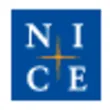 NICE Information Service logo