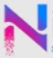 nicerclothing logo