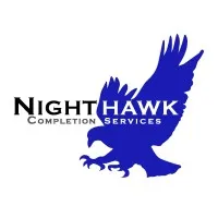 Nighthawk Services logo