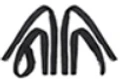 Niiti Consulting