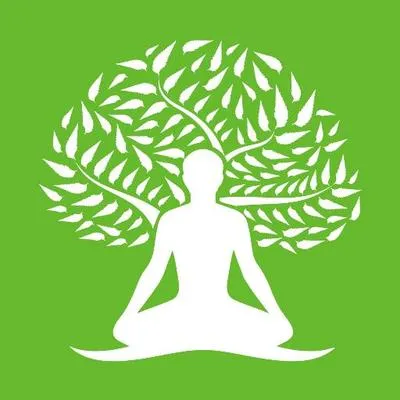 Nimba logo