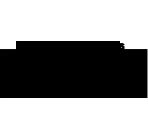 Nina Ottosson logo
