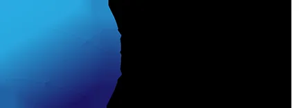 Nordic IoT Networks logo