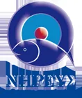 Nireus logo