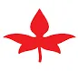 Nirlon Limited