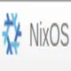 NixOS logo