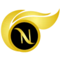 Nizwa International logo