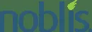 Noblis logo