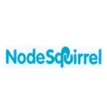 NodeSquirrel logo