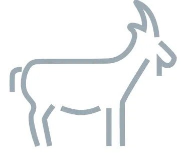 Nomad Ventures logo
